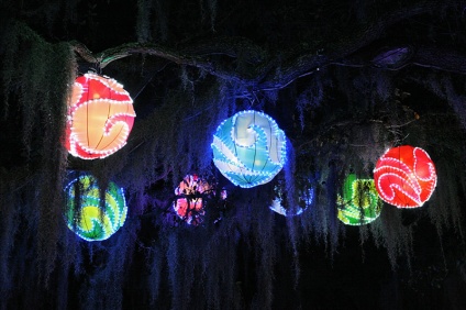 Lanterns in Trees