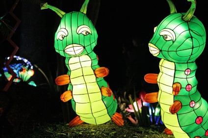 Caterpillar Lanterns